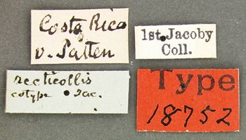 Media type: image; Entomology 18752   Aspect: labels